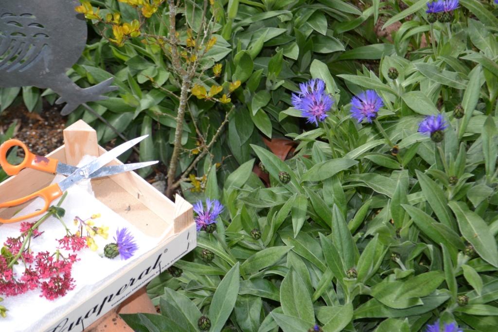 pot-pourri-creation-en-papier-pliage-facile-fleurs-du-jardin
